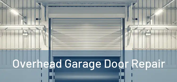  Overhead Garage Door Repair 